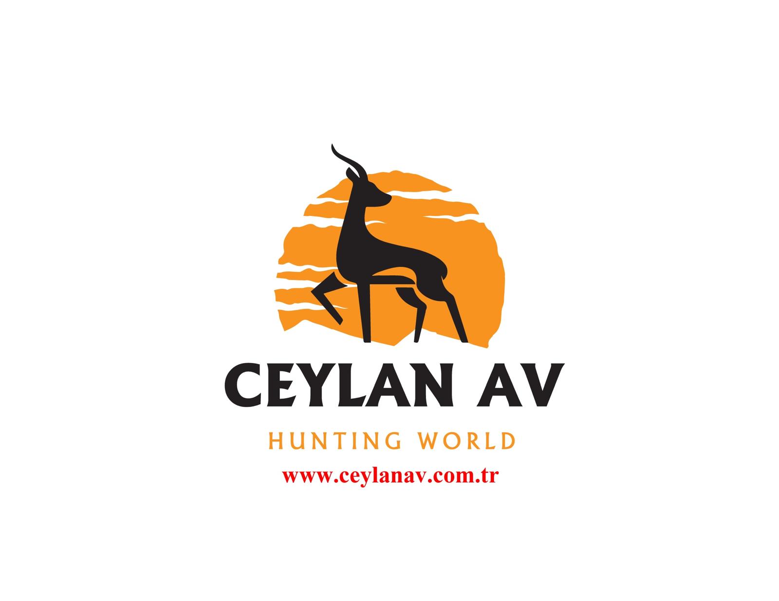 KEDİ MAMASI